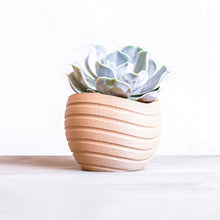 Upload image to Gallery viewer, MAUI