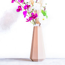 Load image into Gallery viewer, MENFI