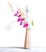 Load image into Gallery viewer, MENFI