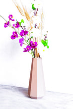 Load image into Gallery viewer, MENFI