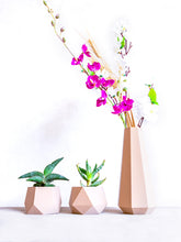 Load image into Gallery viewer, MENFI