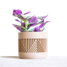 Load image into Gallery viewer, MERIDA LARGE