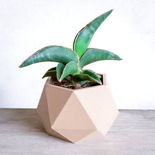 Load image into Gallery viewer, MOSCOW