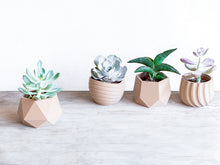 Load image into Gallery viewer, MOSCOW