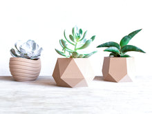 Load image into Gallery viewer, MOSCOW