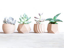 Load image into Gallery viewer, MOSCOW