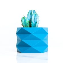 Load image into Gallery viewer, MONACO