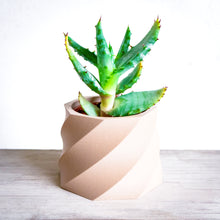 Upload image into Gallery viewer, NAIROBI