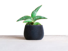 Upload image into Gallery viewer, OSAKA