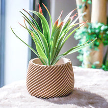 Upload image into Gallery viewer, OSAKA