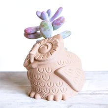 Load image into Gallery viewer, OWL