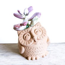 Load image into Gallery viewer, OWL