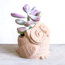 Load image into Gallery viewer, OWL