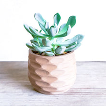 Load the image into the Gallery Viewer, OXNA