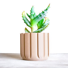 Load image into Gallery viewer, POMPEI