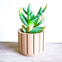 Load image into Gallery viewer, POMPEI