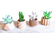 Upload image into Gallery viewer, NAIROBI