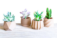 Upload image into Gallery viewer, Set of 4 - SPARTA MADRID MOSCOW NAIROBI