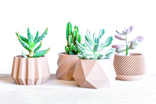 Upload image into Gallery viewer, Set of 4 - SPARTA MADRID MOSCOW NAIROBI