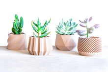 Upload image into Gallery viewer, Set of 4 - SPARTA MADRID MOSCOW NAIROBI