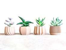 Upload image into Gallery viewer, Set of 4 - VAILA DELHI SPARTA MADRID