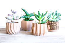 Upload image into Gallery viewer, SPARTA