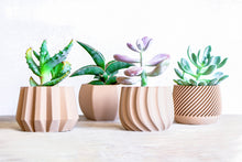 Upload image into Gallery viewer, Set of 4 - VAILA DELHI SPARTA MADRID