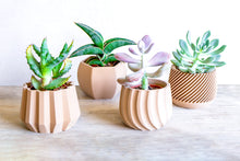 Upload image into Gallery viewer, Set of 4 - VAILA DELHI SPARTA MADRID