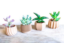 Upload image into Gallery viewer, Set of 4 - VAILA DELHI SPARTA MADRID