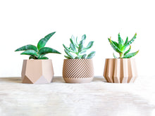 Upload image into Gallery viewer, Set of 3 - SPARTA MADRID KAZAN