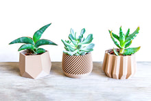 Upload image into Gallery viewer, Set of 3 - SPARTA MADRID KAZAN