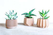 Upload image into Gallery viewer, Set of 3 - SPARTA MADRID KAZAN