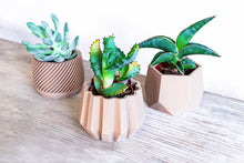 Upload image into Gallery viewer, Set of 3 - SPARTA MADRID KAZAN