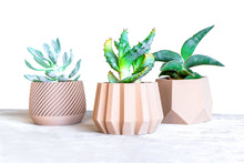 Upload image into Gallery viewer, SPARTA