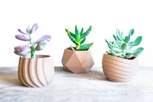 Upload image to Gallery viewer, MAUI