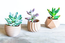 Upload image into Gallery viewer, Set of 3 - VAILA MOSCOW MAUI