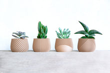 Load the image into the Gallery viewer, CANCUN