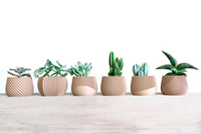 Load image into Gallery viewer, AVANA