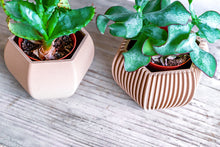 Load image into Gallery viewer, DELHI