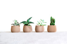 Upload image into Gallery viewer, LONDON