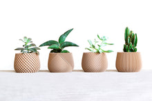 Load image into Gallery viewer, BELIZE