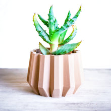 Upload image into Gallery viewer, SPARTA