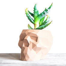 Load image into Gallery viewer, SKULL