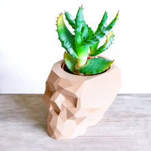 Load image into Gallery viewer, SKULL