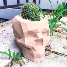 Load image into Gallery viewer, SKULL