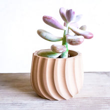 Load image into Gallery viewer, VAILA