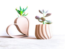 Load image into Gallery viewer, VAILA