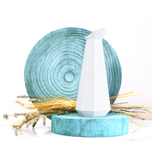 Load image into Gallery viewer, VENICE