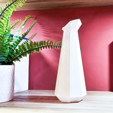 Load image into Gallery viewer, VENICE