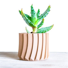 Upload image to Gallery viewer, VICHY